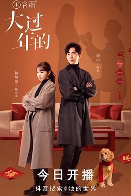 大过年的免费观看