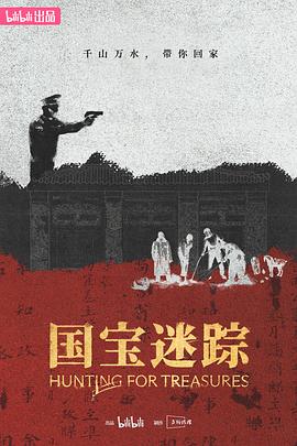 国宝迷踪免费观看