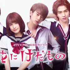 花予野兽 第一季免费观看