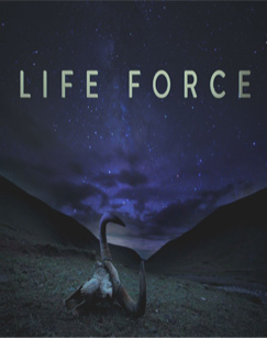 生命的力量免费观看