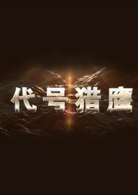 代号猎鹰免费观看