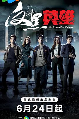 反黑英雄国语免费观看