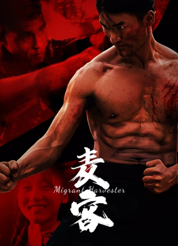 麦客2024免费观看