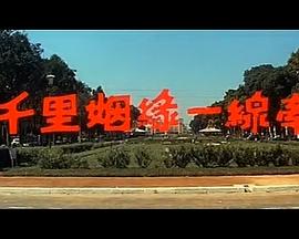 千里姻缘一线牵免费观看