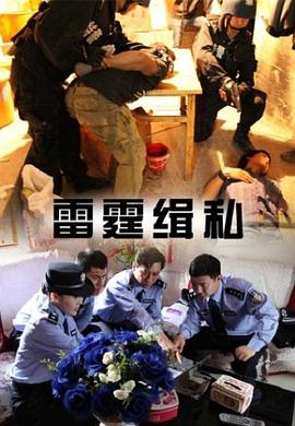 雷霆缉私免费观看