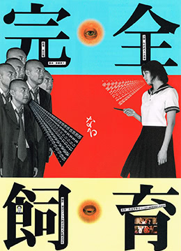 禁室培欲.完全饲育免费观看