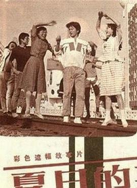 夏日的期待免费观看