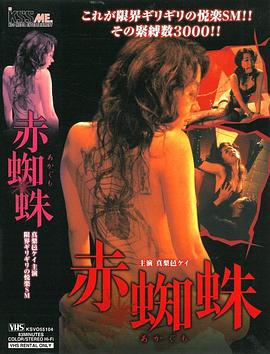 赤蜘蛛免费观看