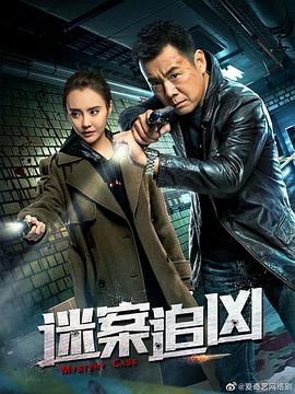 迷案追凶免费观看