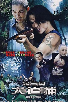 大追捕2008免费观看