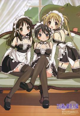 这就是我的主人免费观看