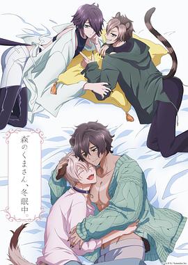 森林里的熊先生冬眠中免费观看