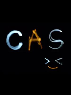 海岸线不污正业sp免费观看