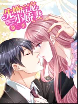 先婚后宠小娇妻第三季免费观看