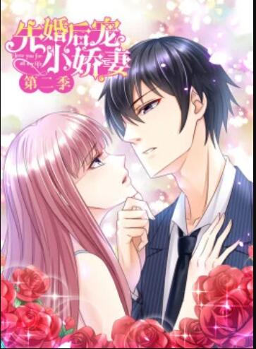 先婚后宠小娇妻第二季免费观看