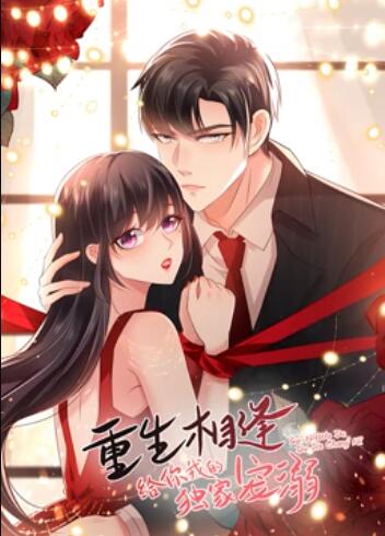 重生相逢：给你我的独家宠溺 动态漫画免费观看