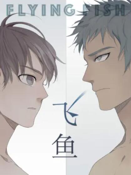飞鱼免费观看