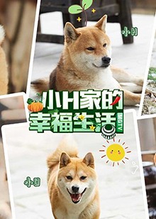 小H一家免费观看