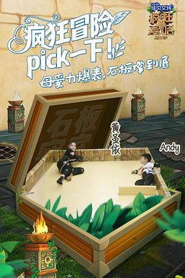 疯狂的麦咭第五季免费观看