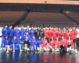 全明星运动会免费观看