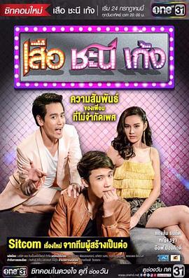 夏日菊花茶免费观看