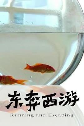 11度青春之《东奔西游》免费观看