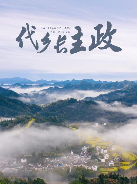 代乡长主政免费观看