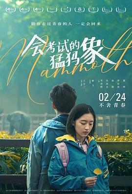 会考试的猛犸象免费观看