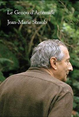 阿蒂米德的膝盖免费观看