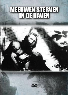 鸥鸟落亡于海港免费观看