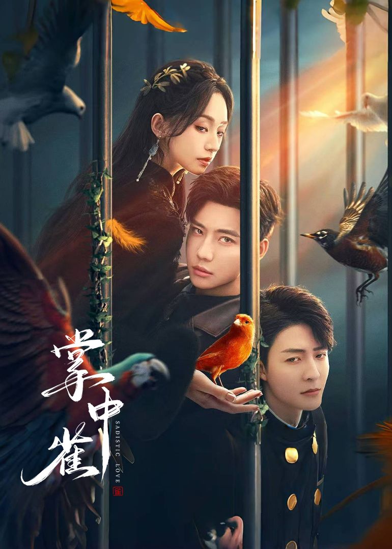 掌中雀免费观看