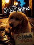 狗狗奇遇记免费观看