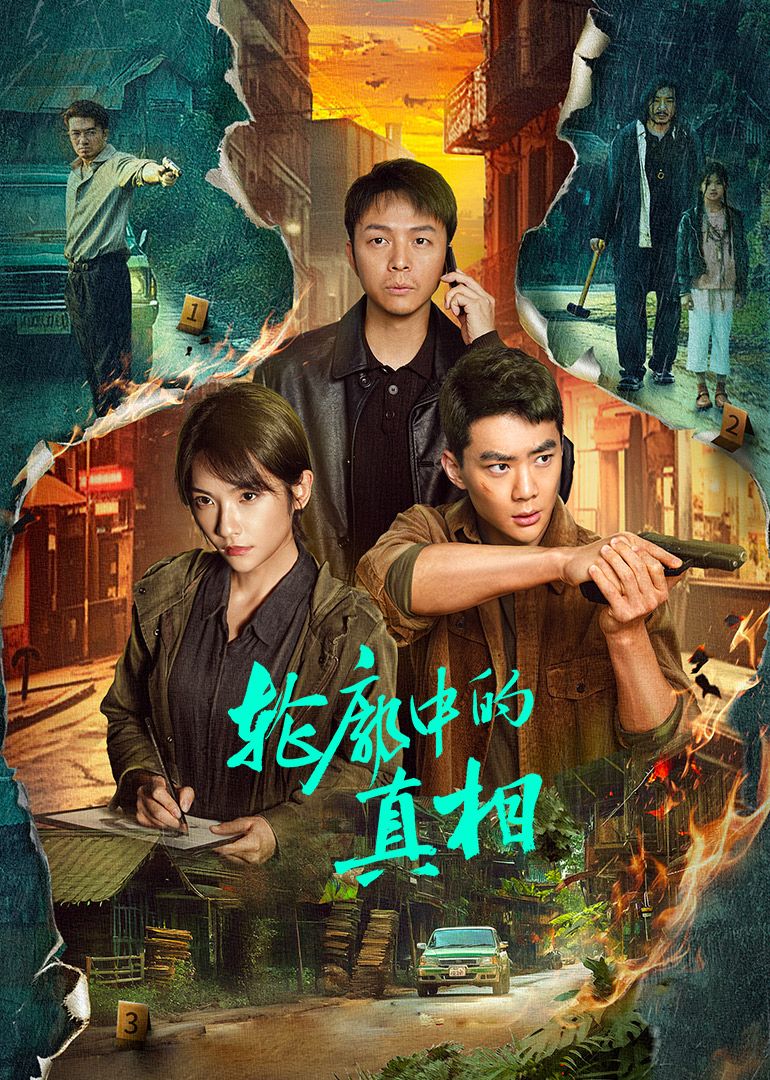 轮廓中的真相免费观看