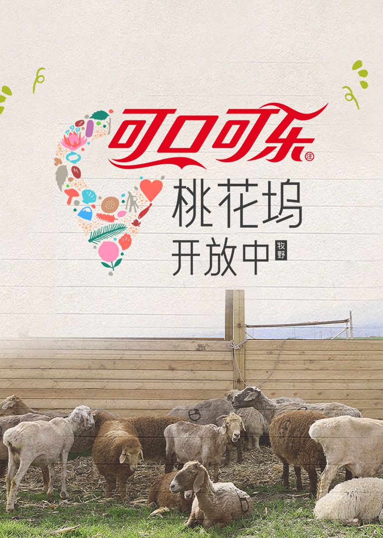 桃花坞开放中第四季免费观看